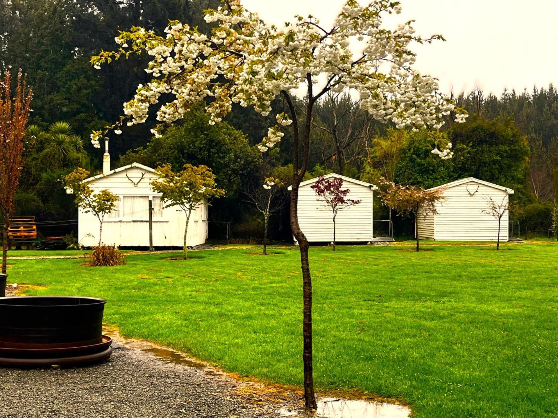 Taringatura Backpackers Benmore Exterior foto